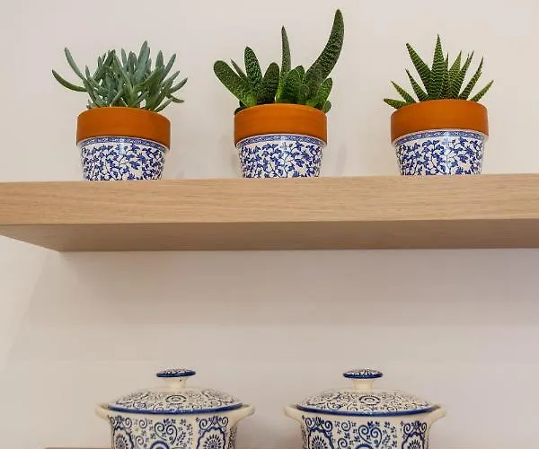 Apartment Blue Jasmine