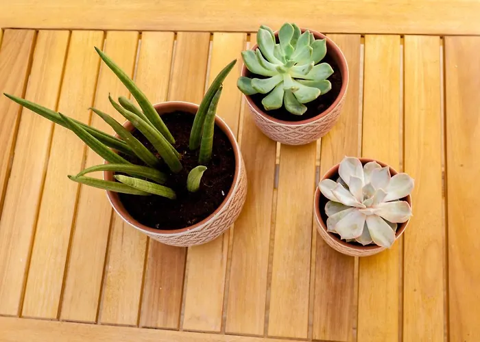 Blue Jasmine Appartement La Canée